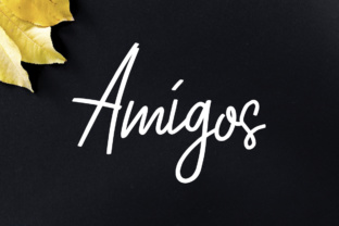 Amigos Typeface: A Modern Script for Branding