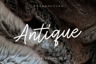 Antique: A Modern Handwritten Font for Web Design