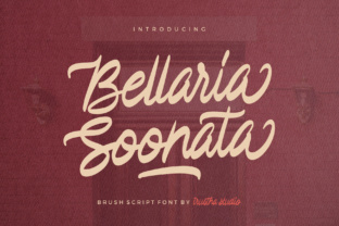 Bellaria Soonata: A Warm Script Typeface for Web Design