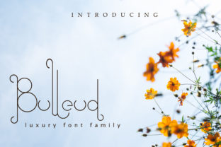 Bulleud: A Modern Script Font for Web Design