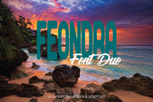 Feondra Duo: A Versatile Typeface for Web Design