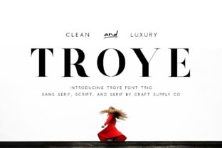 Troye Trio: A Versatile Typeface for Modern Branding