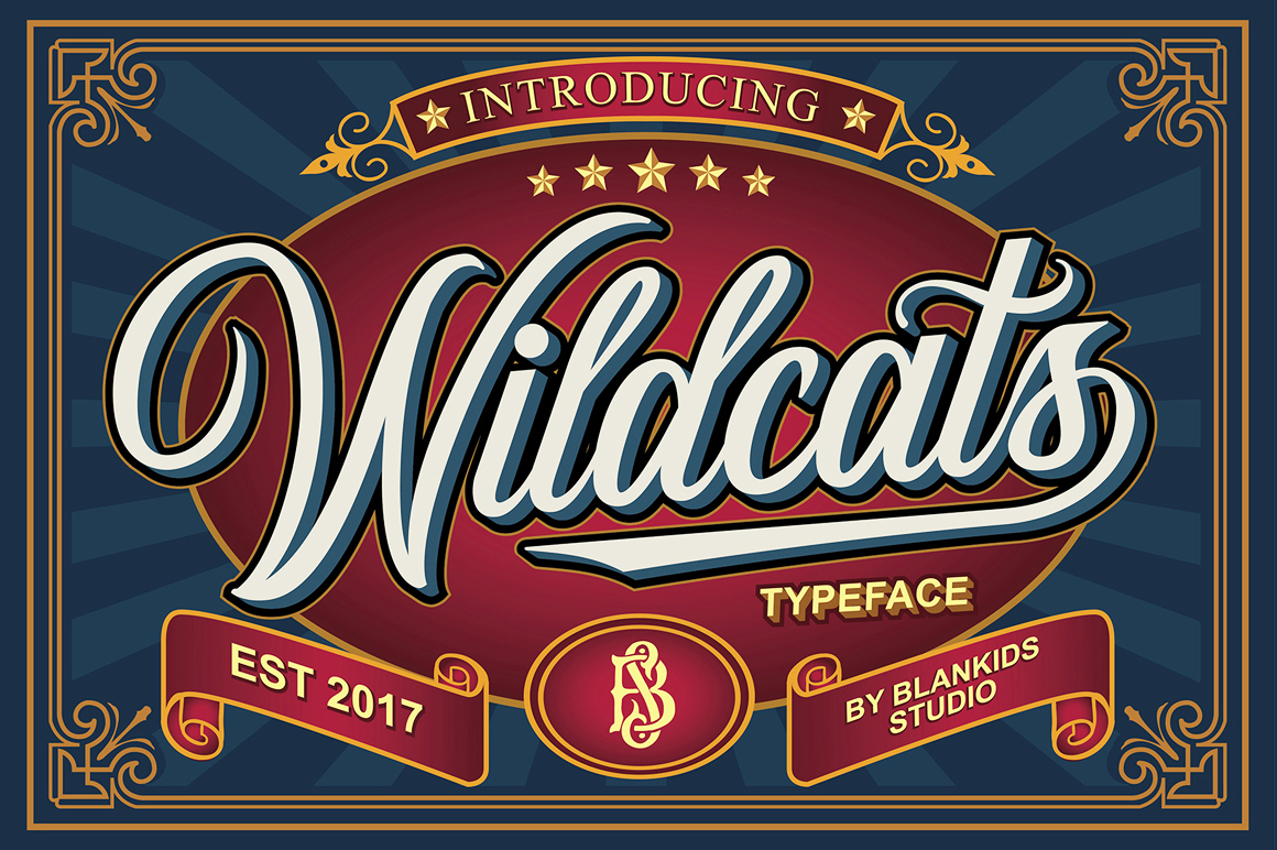 Wildcats: A Vintage Script Font for Editorial Charm